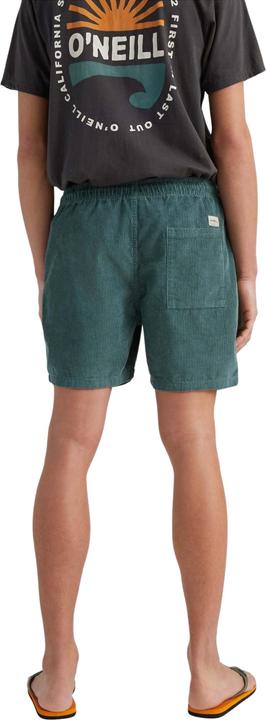Actual product image O'Neill hort camorro cord (S)