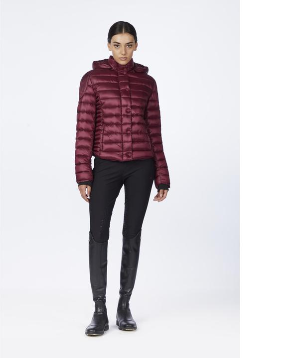 Immagine prodotto Vestrum Polluce (L)