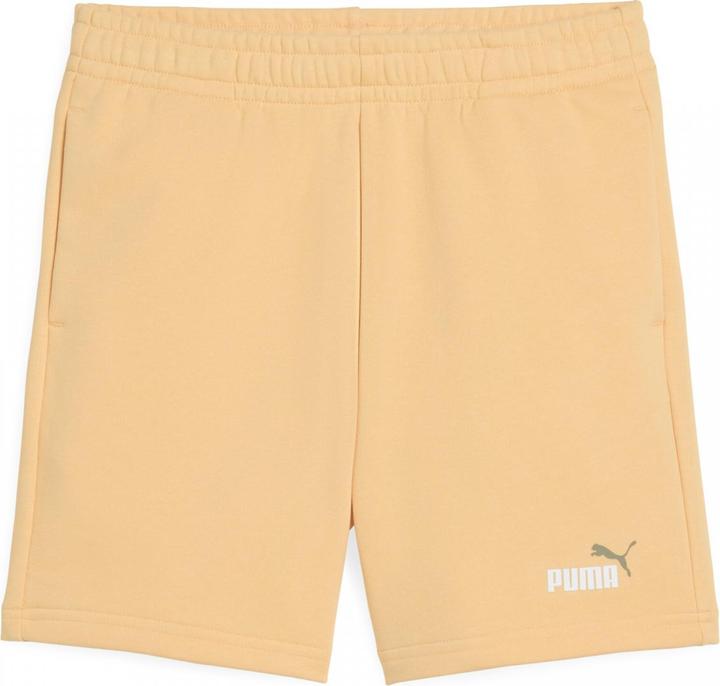 Actual product image Puma ESS 2 COLOR No. 1 Logo Shorts TR B (176)