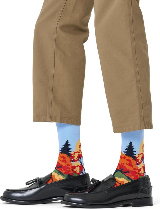 Actual product image Happy Socks Autumn Sock (Single pack, 36 - 40)