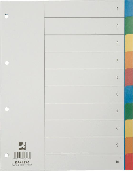 Image du produit Q-Connect Répertoire plein format en PP, couleur
