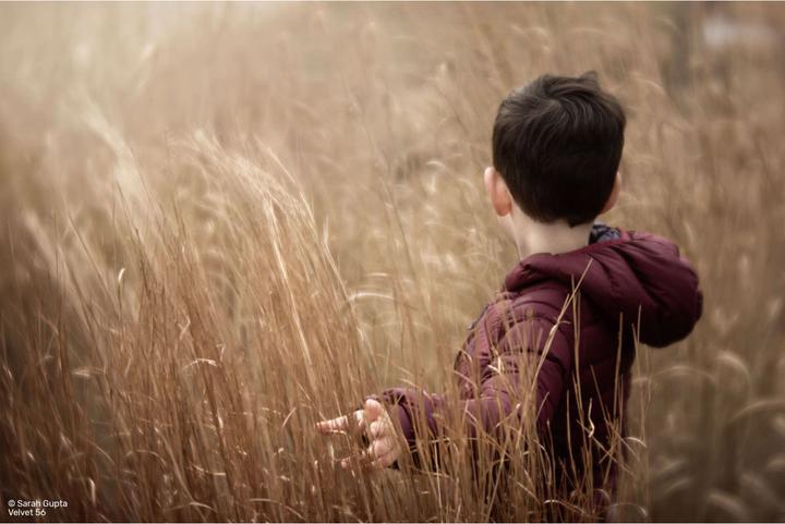 Produktbild Lensbaby Velvet 56 silver Sony E (Sony E, Vollformat, APS-C / DX)