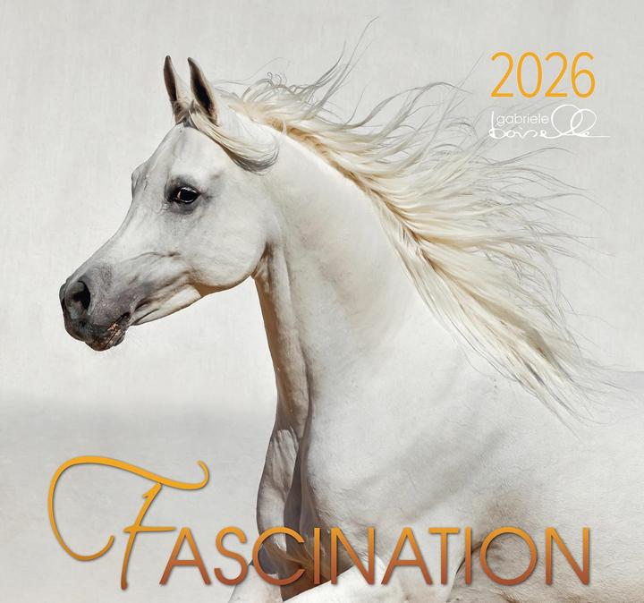 Actual product image Fascination 2026