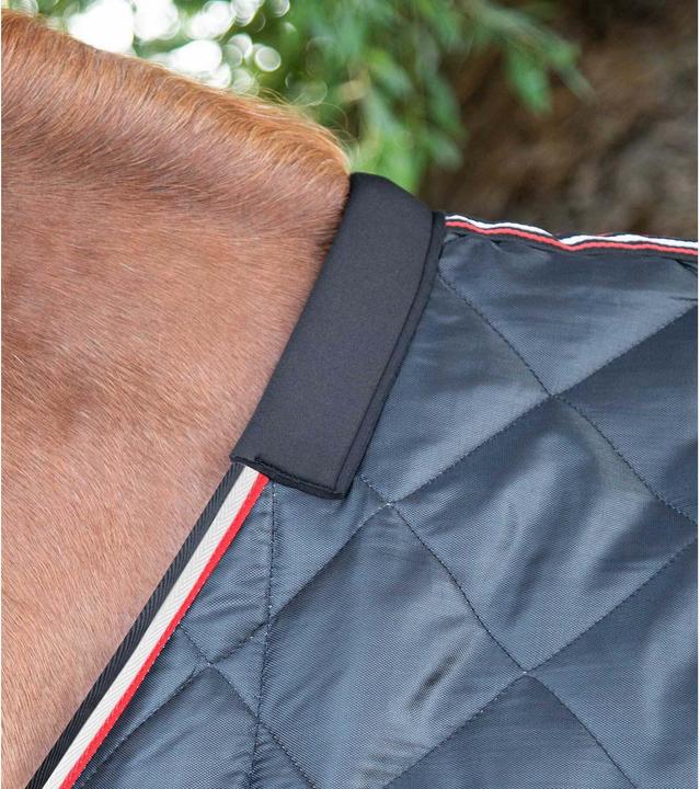 Produktbild Premier Equine 100g (221 cm)