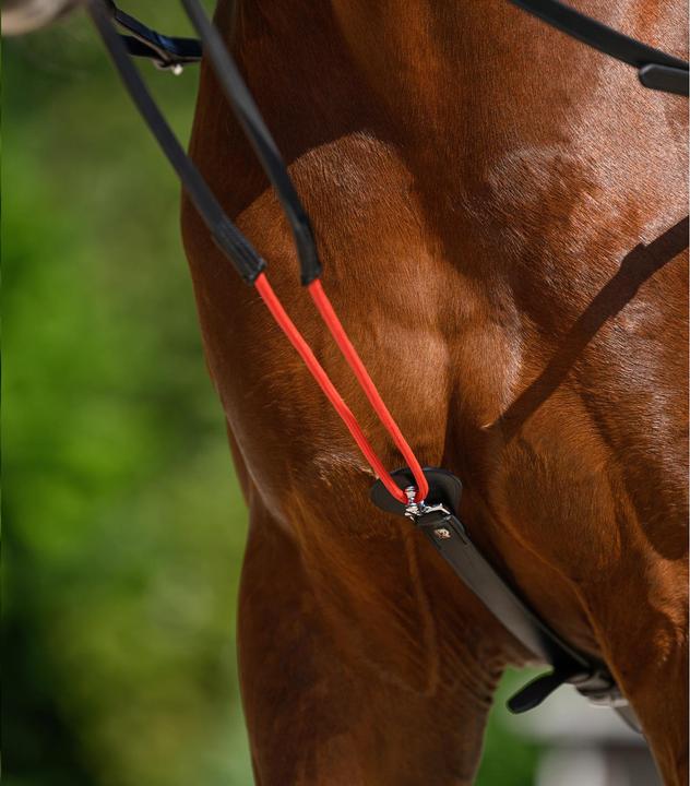 Image du produit Waldhausen W-trainRein