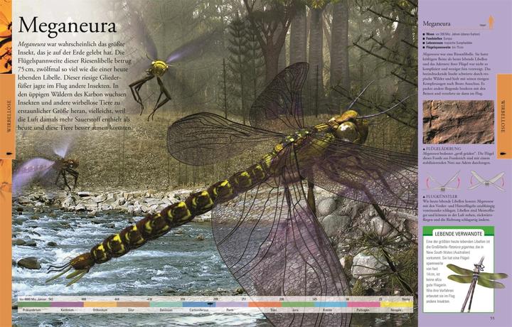Produktbild Dinosaurier und andere Tiere der Urzeit für clevere Kids (Deutsch, DK Verlag - Kids, 2019)