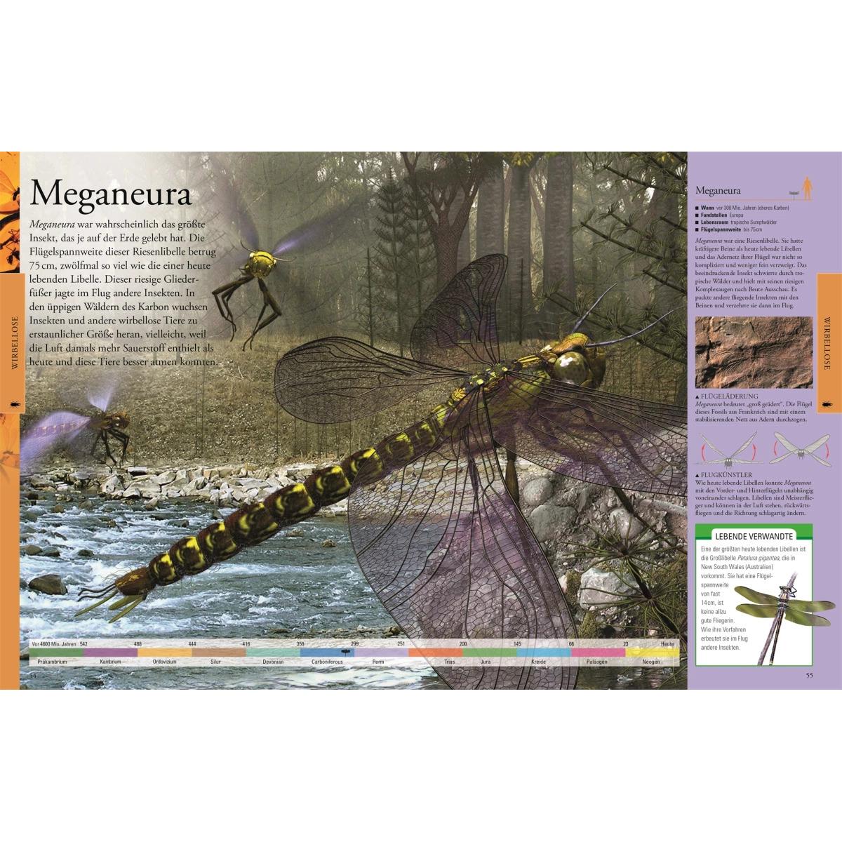 Thumbnail - Dinosaurier und andere Tiere der Urzeit für clevere Kids, Kinderbücher von DK Verlag - Kids