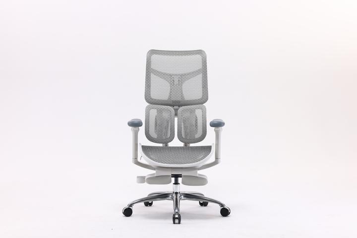 Actual product image Sihoo Doro S100