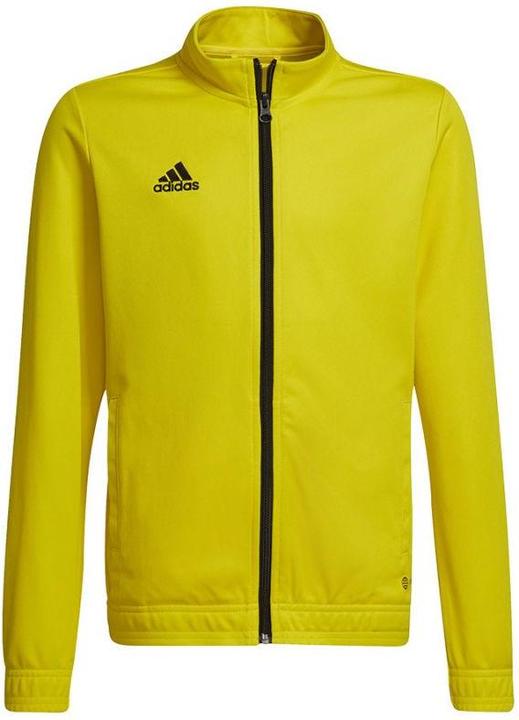 Yellow / Black