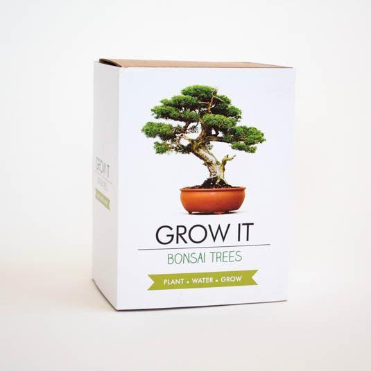 Gift Republic Coltivalo come bonsai (Semi di piante)