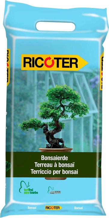bonsai als geschenk Bonsai Tasse Geschenk Bonsai Baum — TrendationStore