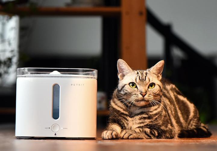 Produktbild Petkit Eversweet (2 l)