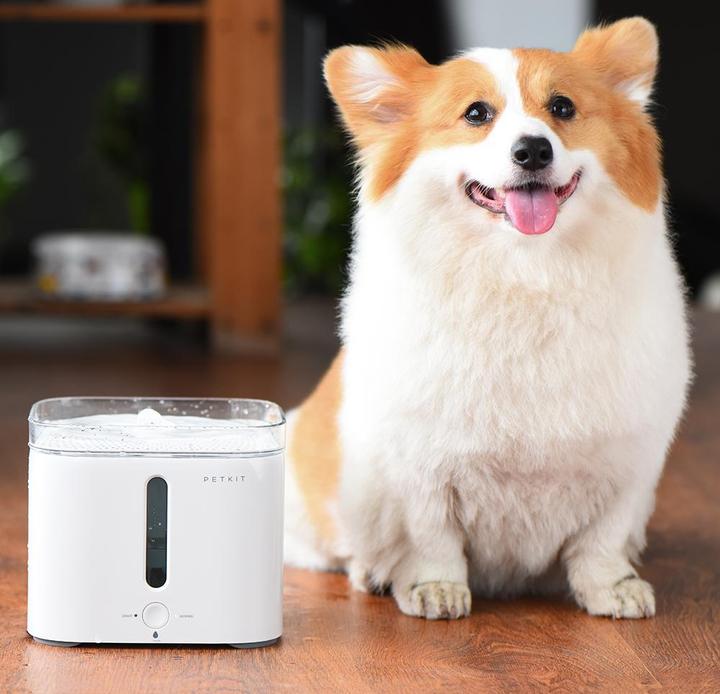 Produktbild Petkit Eversweet (2 l)