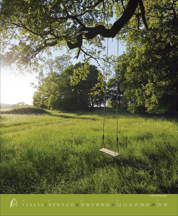 Produktbild AugenblickeimWald2026 (Spezial)