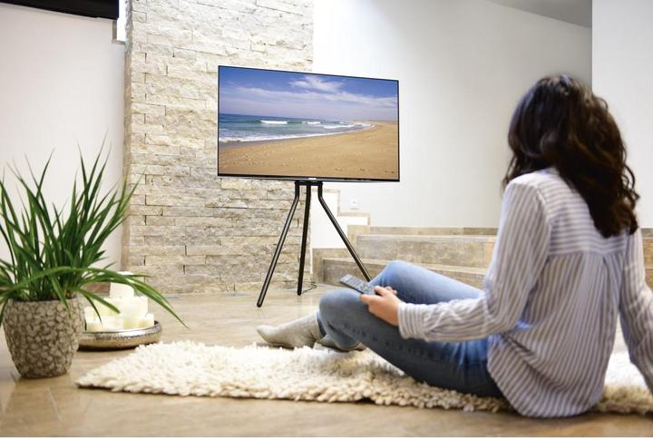 Image du produit Hama Support TV (75", 40 kg)