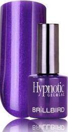 Immagine prodotto BrillBird G&L "81" ipnotico - 8ml (Smalto per unghie effetto gel)