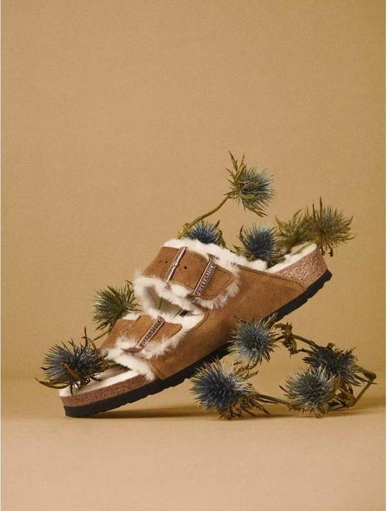 Produktbild Birkenstock Arizona Veloursleder Schmal (41)