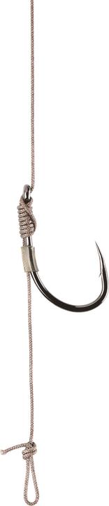 Actual product image Caperlan Leader Ready to Fish Carp