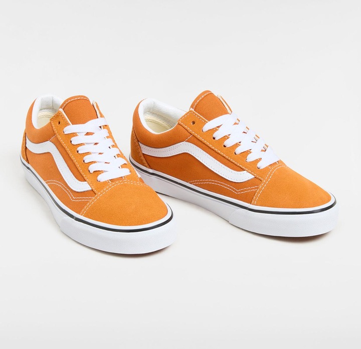 Image du produit Vans Old Skool (44)