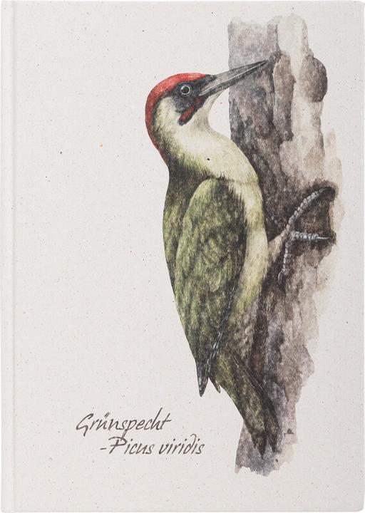 Actual product image Pagna Notizbuch A5 Grünspecht 128S (A5)