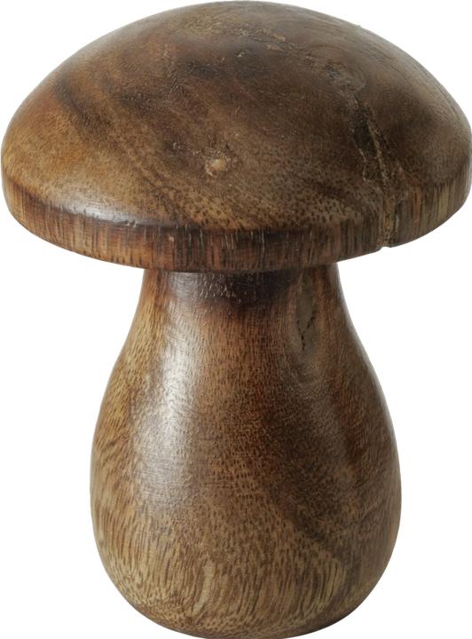 Image du produit Boltze Home Terjol (10 x 13 cm)