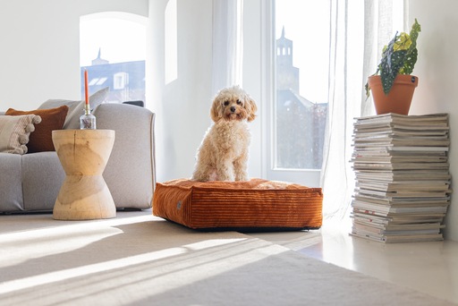 Productafbeelding Designed by Lotte DUBBEL BANKKUSSEN RIBBED TERRA 70X55X15 (Hond)