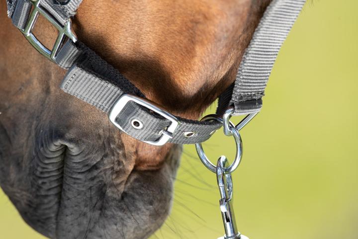 Produktbild HFI Master First