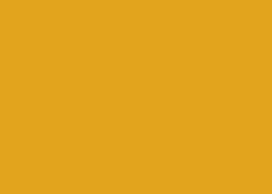Immagine prodotto Clairefontaine Carta universale Trophée colorata (80 g/m², A4)