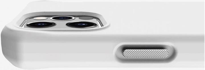 Image du produit Itskins Soie hybride (Apple iPhone 12 Pro Max)