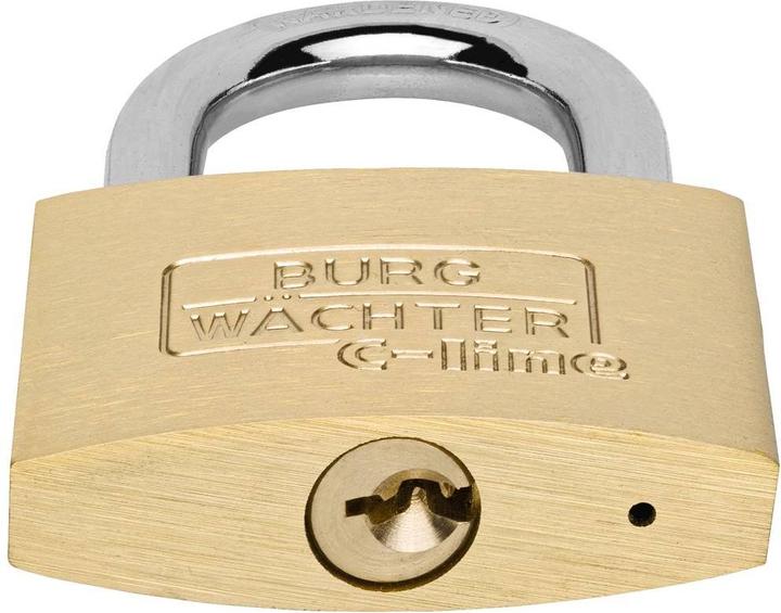 Actual product image Burg Wächter 33691 Padlock 50.00 mm different locking Brass Sch