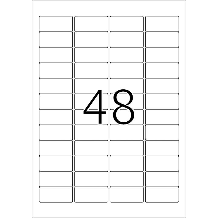 Actual product image HERMA A4 removable labels