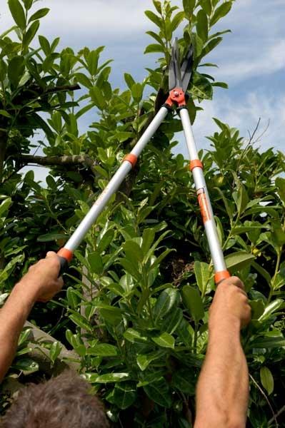 Image du produit Bahco Taille-haies avec manche télescopique