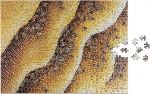 Productafbeelding Helvetiq Puzzelbijen, Wilde dieren patroon (500 onderdelen)