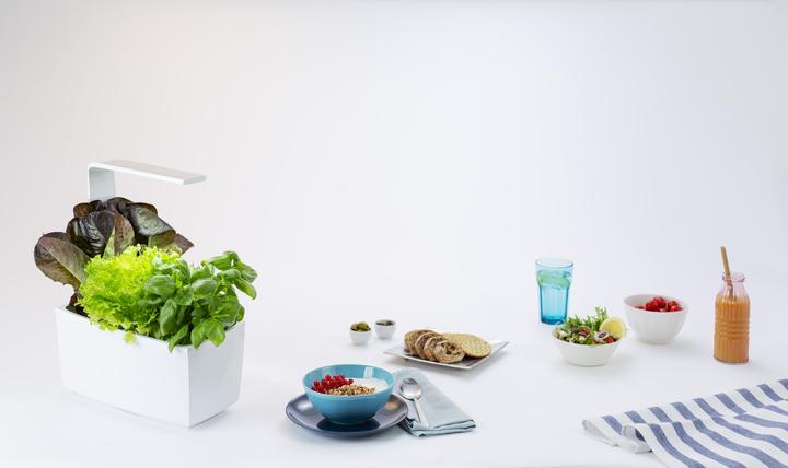 Produktbild Tregren Kräutertopf T6 (34.50 cm)