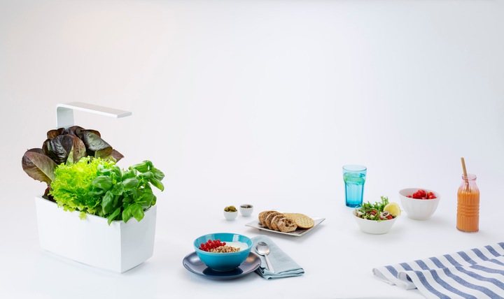 Produktbild Tregren Kräutertopf T6 (34.50 cm)