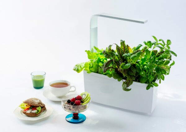 Produktbild Tregren Kräutertopf T6 (34.50 cm)