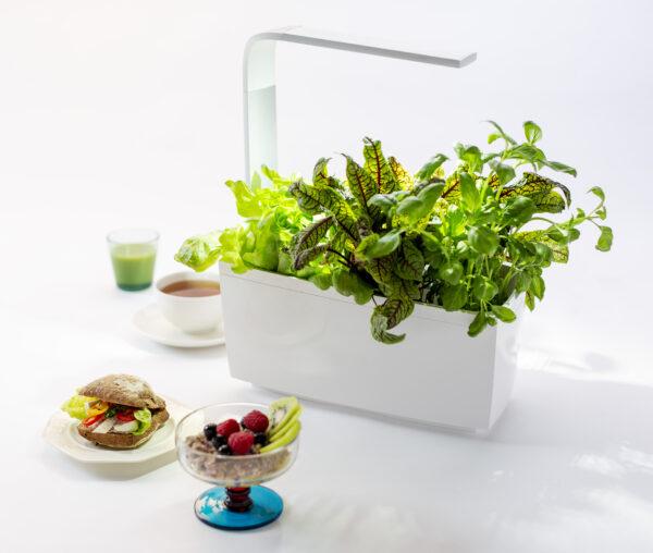 Produktbild Tregren Kräutertopf T6 (34.50 cm)