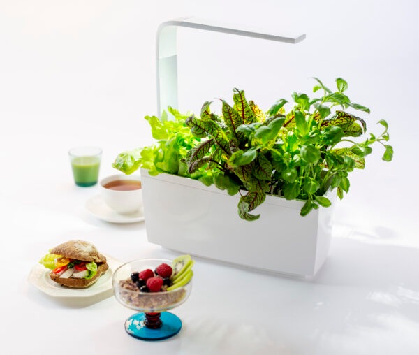 Produktbild Tregren Kräutertopf T6 (34.50 cm)