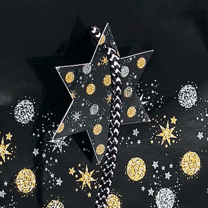 Actual product image Sigel Gift bag (1x)