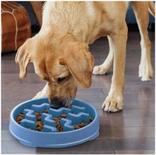 Productafbeelding Outward Hound Langzame voerbak Fun Feeder Notch voor honden Medium