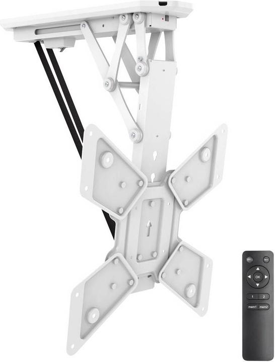 Actual product image myWall HL40MWL (Ceiling, 30 kg)