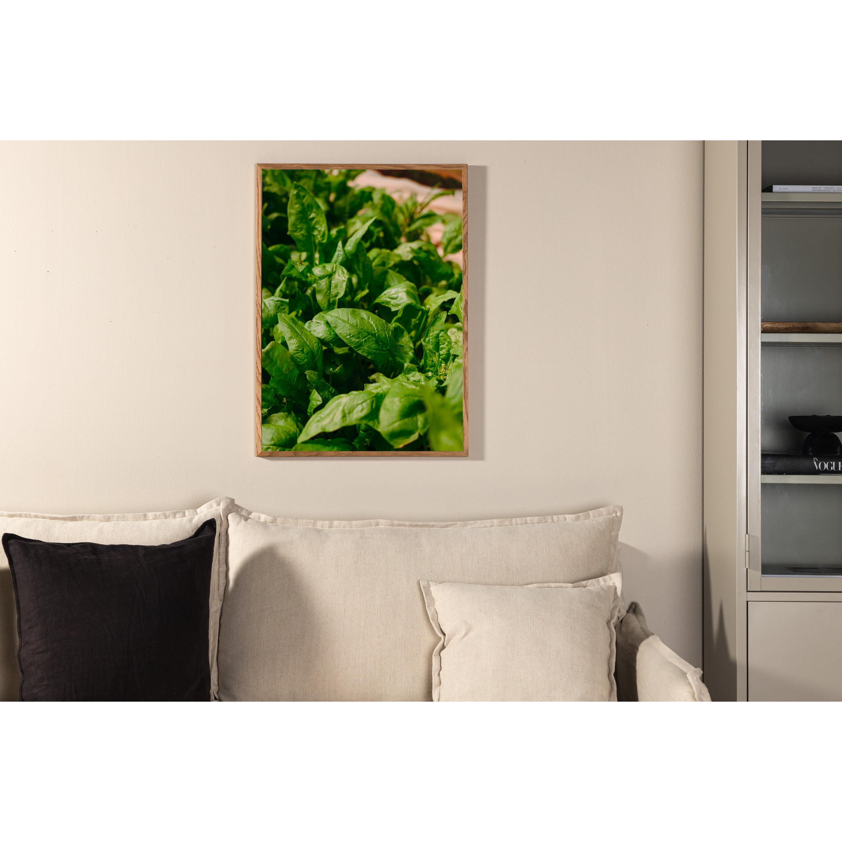 Venture Home, Wanddeko, Gree leaf (21 x 30 cm)