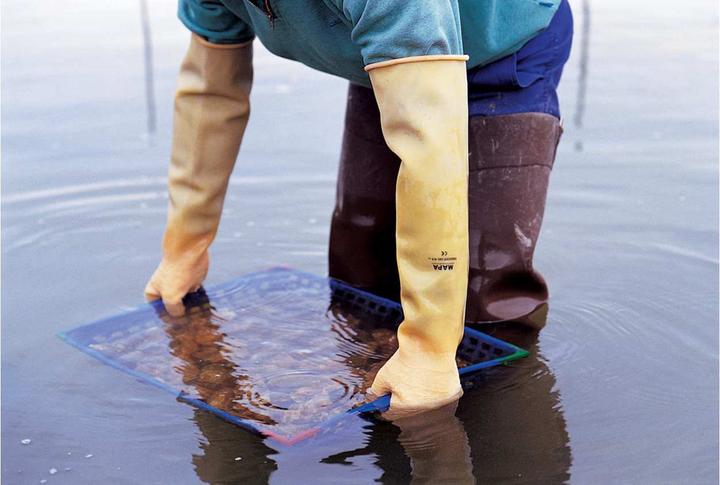 Image du produit Mapa Trident 285 taille 9 (9)