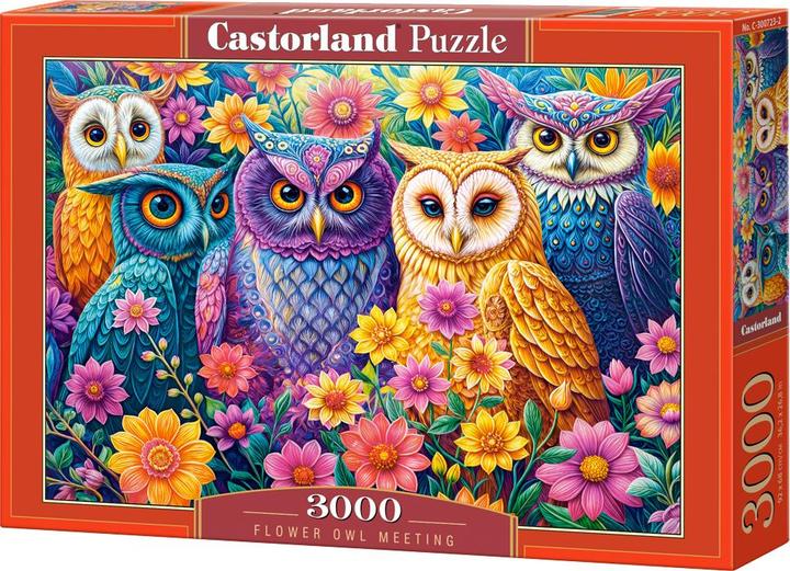 Produktbild Castorland Puzzle 3000 Teile Flower Owl Meeting (3000 Teile)