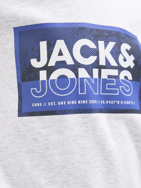 Immagine prodotto Jack & Jones Jcologan Print Sweat Hood Sn Mni (128)