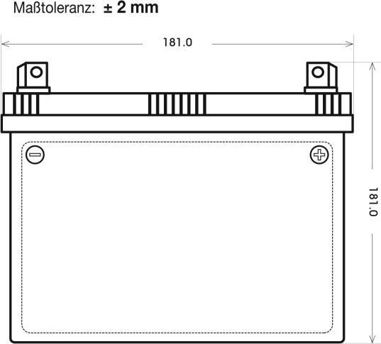 Actual product image Panther Batterien Lawn tractor battery 53030 12V 32Ah (12 V, 32 Ah)