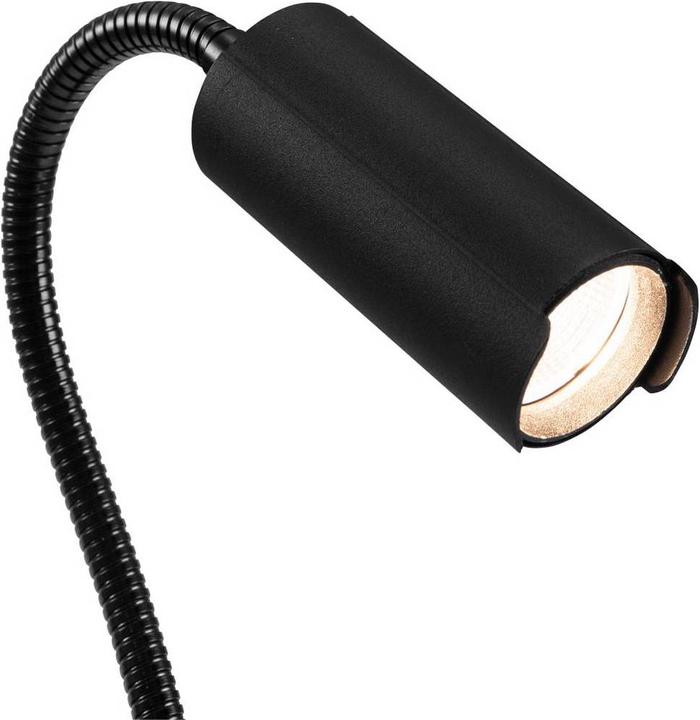 Immagine prodotto Eurolite Luce a morsetto