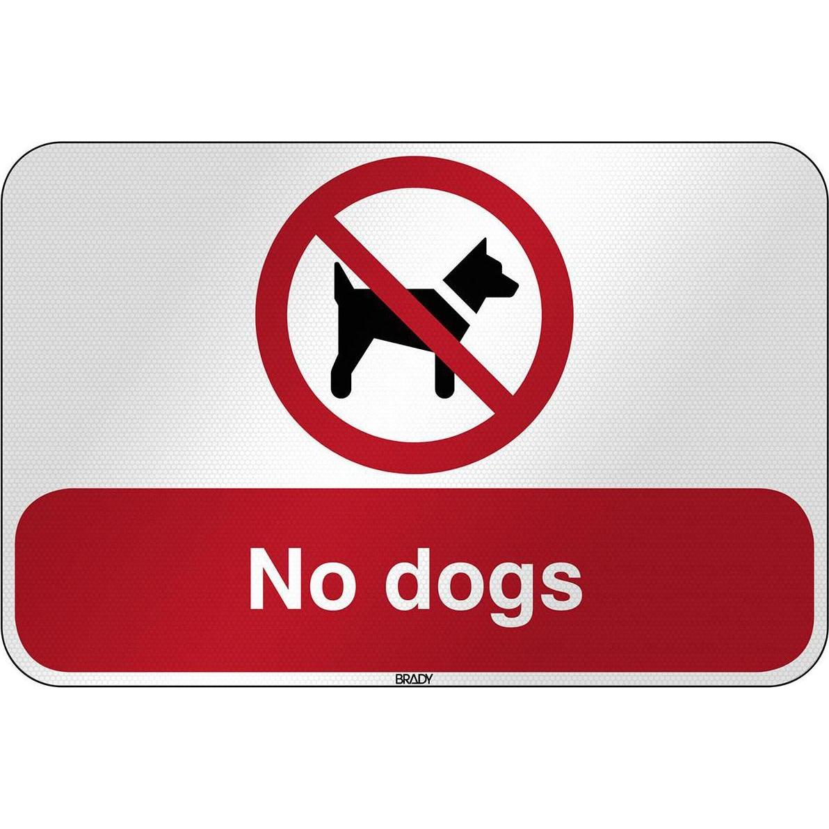 Brady, Sicherheitskennzeichnung, ISO Safety Sign - No dogs