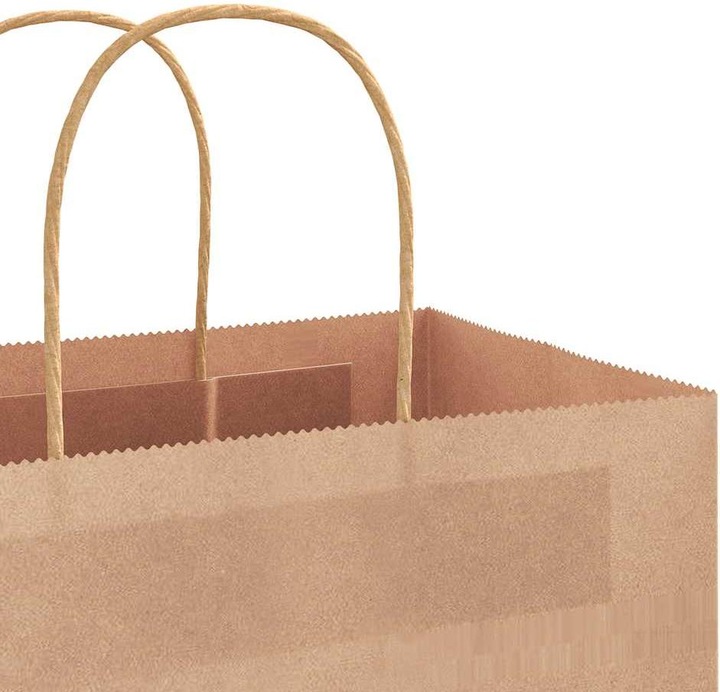 Produktbild VidaXL Kraftpapiertüten 50 Stk. mit Henkel Braun 22x11x28 cm Papiertüte (Geschenktüte, 50 x)