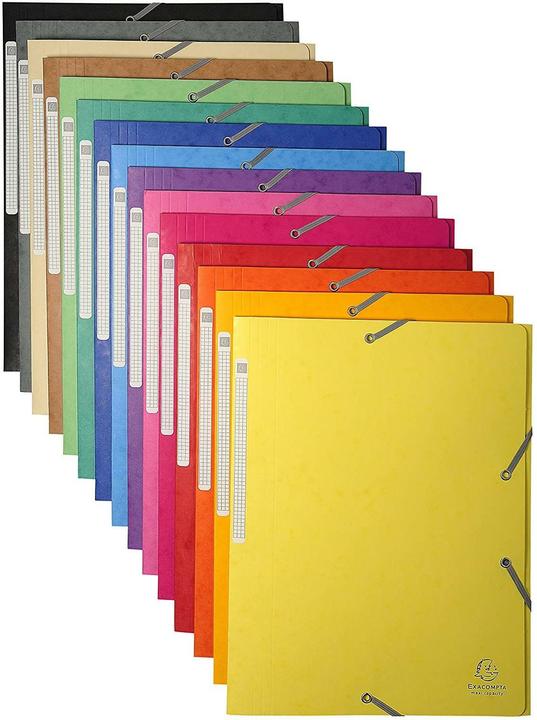 Actual product image Exacompta Folder (A4, 1x)